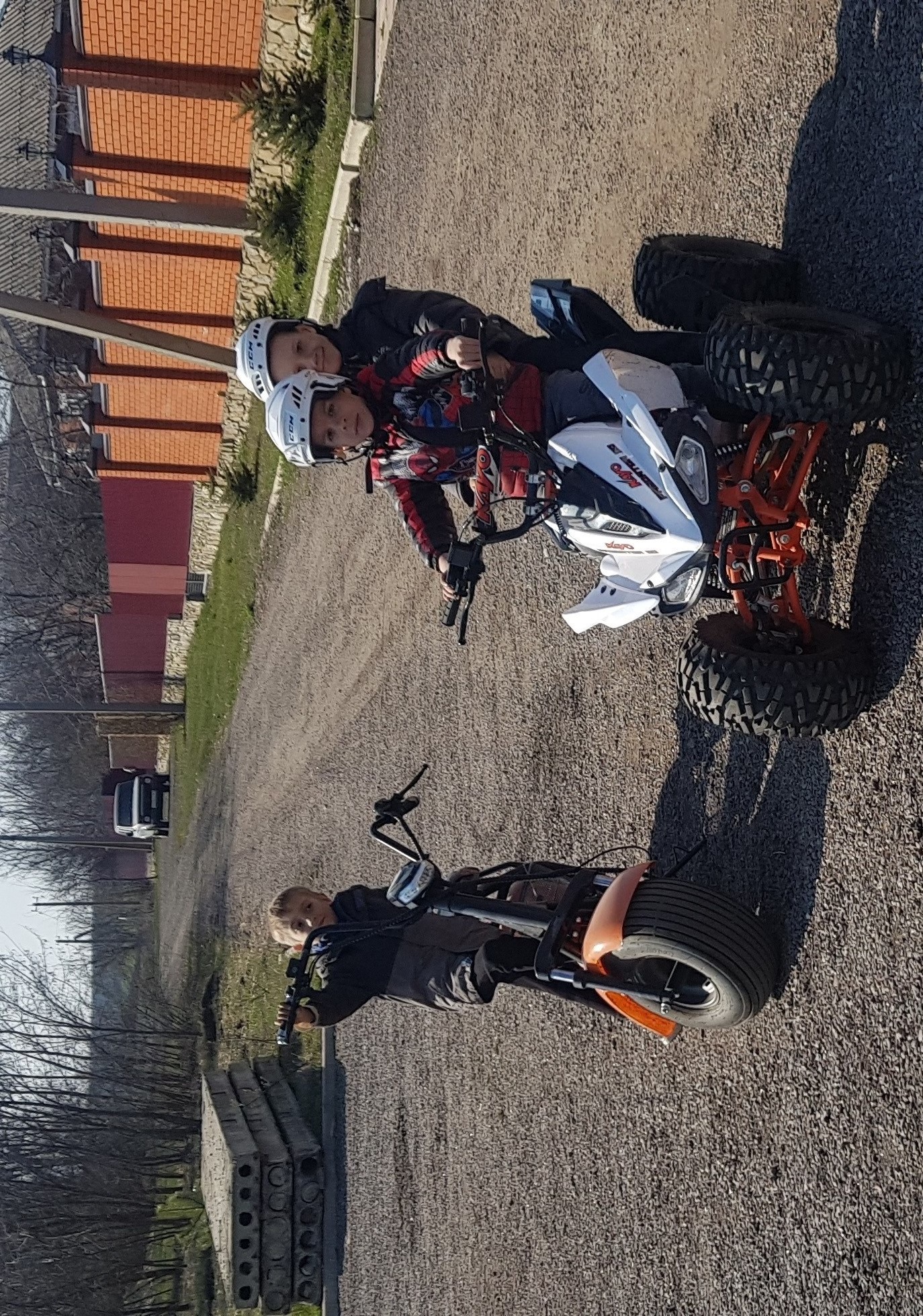 Фото Двор сурка