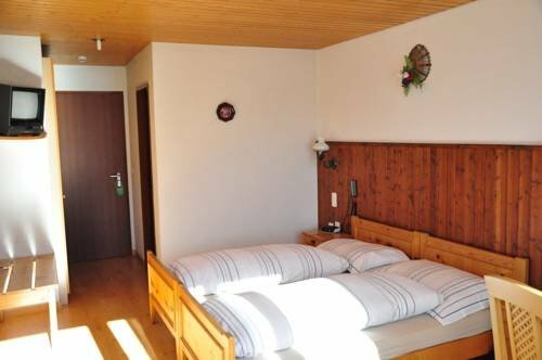 Гостиница Hotel Fiescherhof