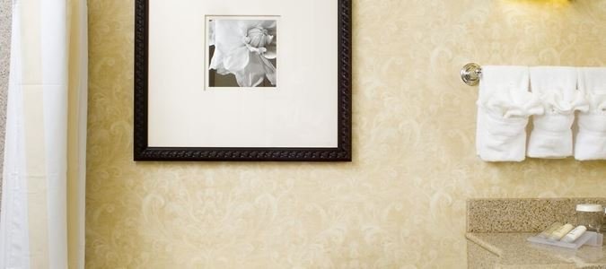 Фото Hilton Garden Inn Atlanta West/Lithia Springs