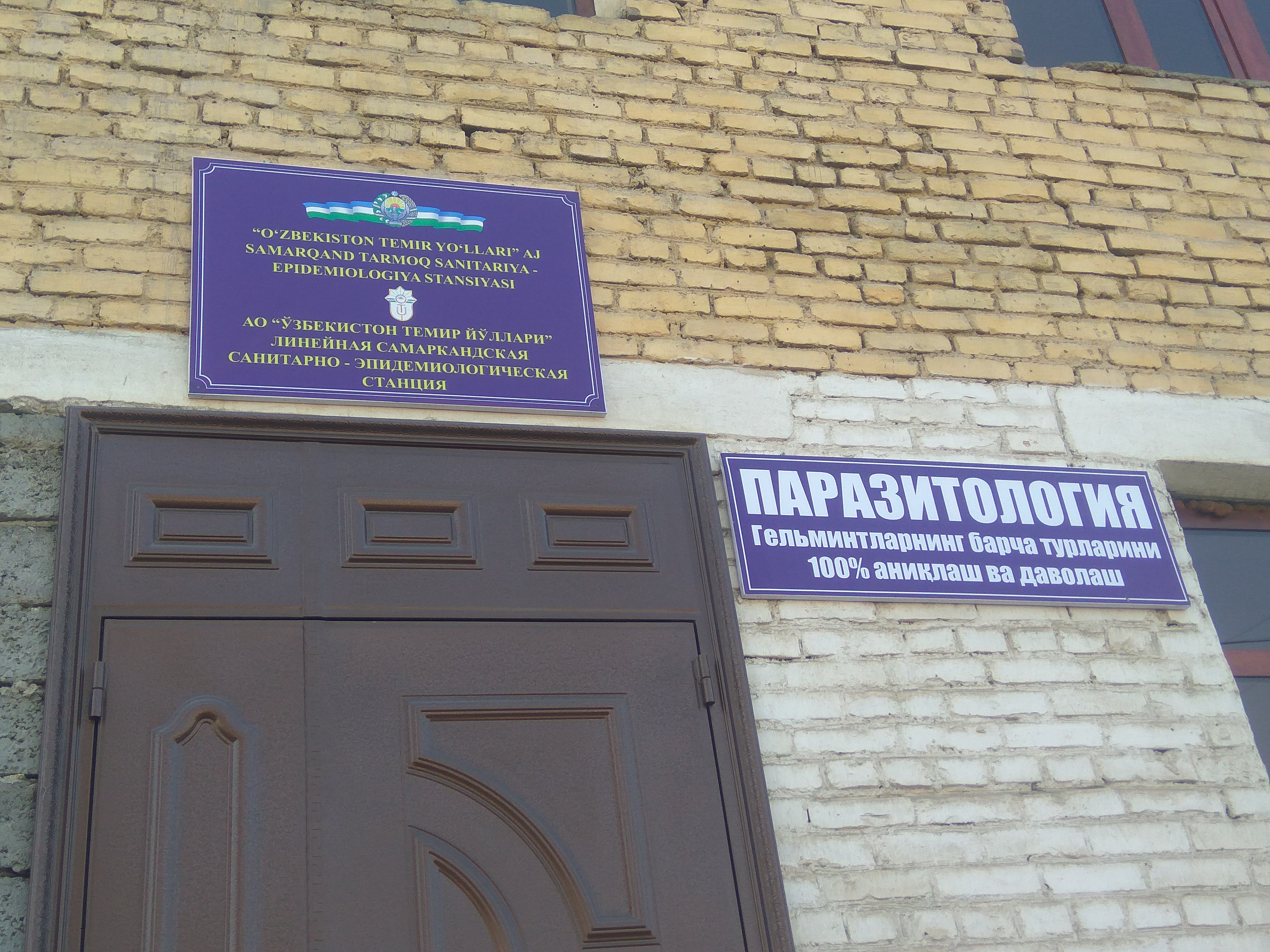 Koltuk kiygan lezbiyenning surati