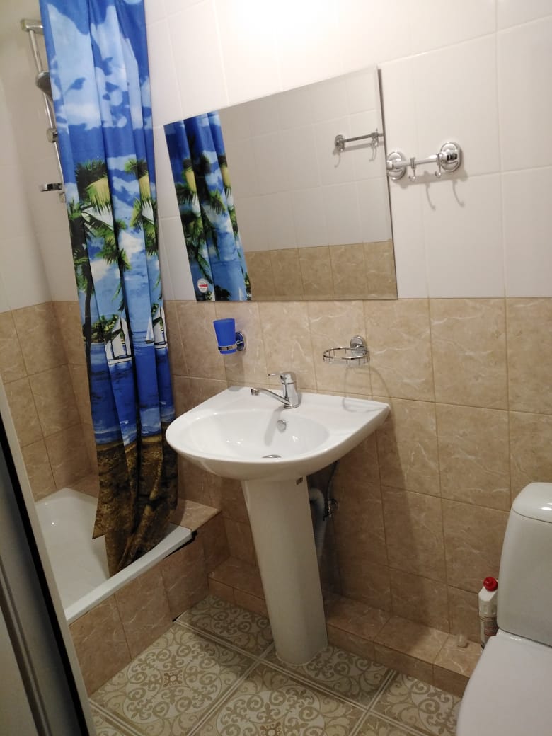 Фото Изумрудная пальма