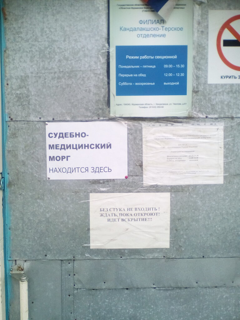 Судебно-медицинская экспертиза Областное Мурманское бюро судебно-медицинской экспертизы, Кандалакшско-Терское отделение, Кандалакша, фото