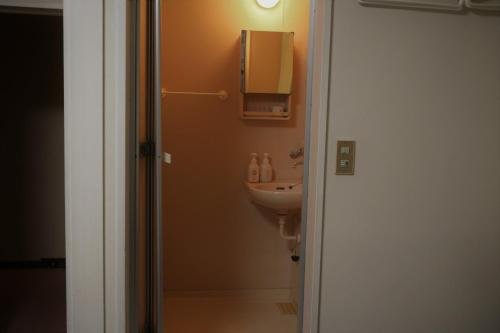 Фото White Silver Hakuba