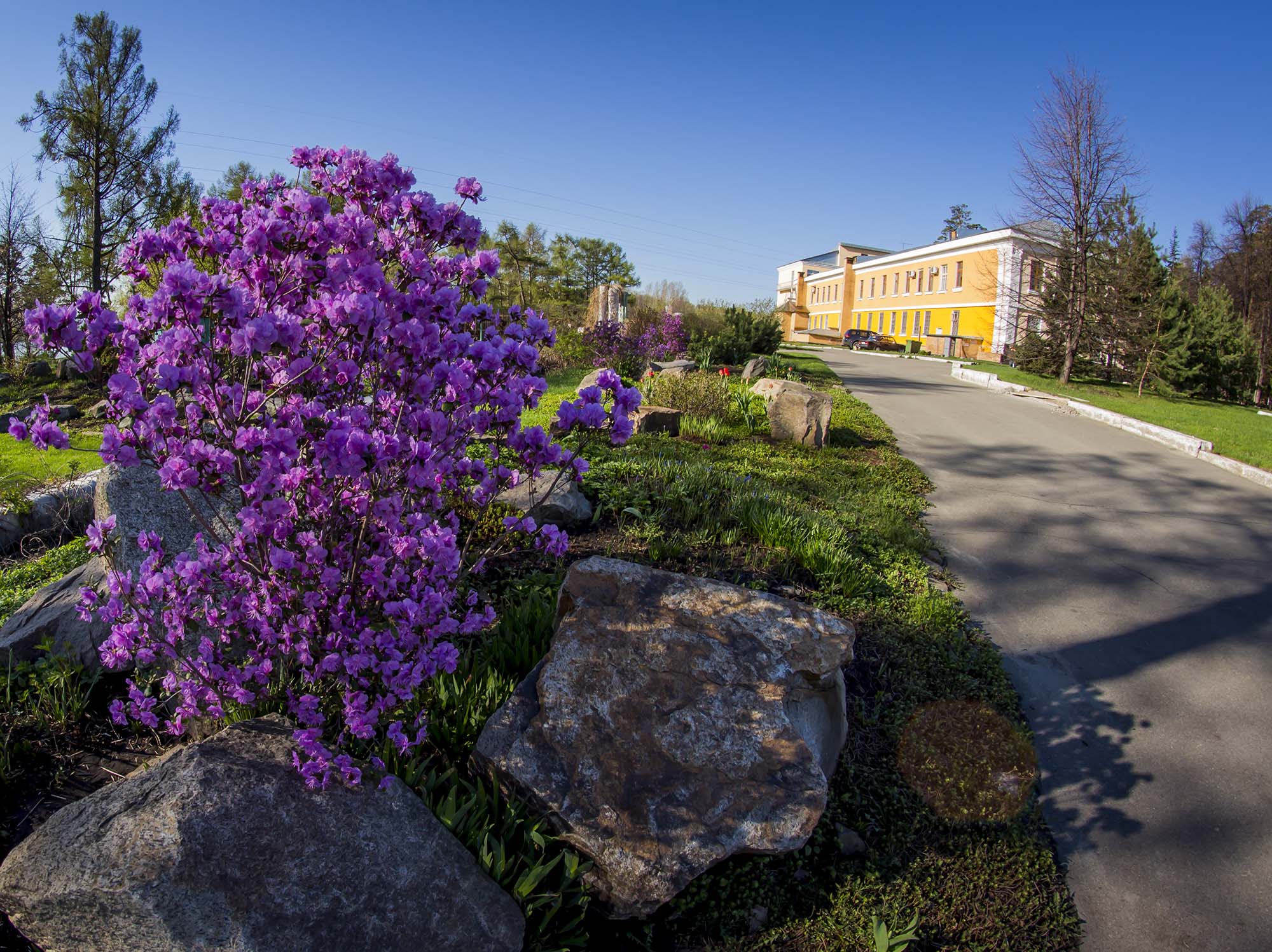 Фото Барнаульский