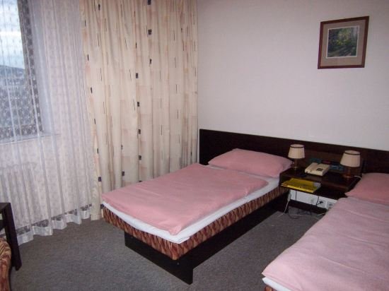 Фото Hotel Merkur