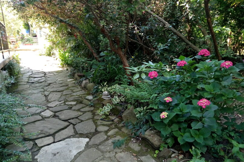 Фото Фазенда