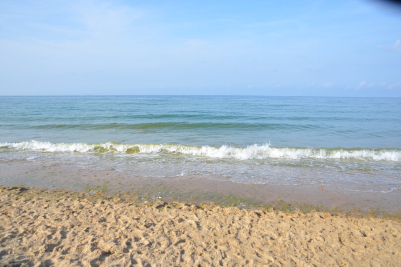 Фото Абрикосовая