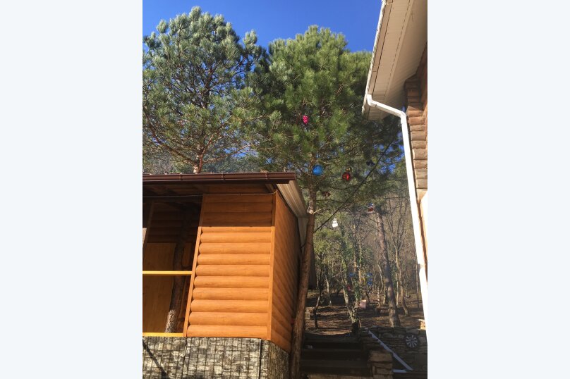 Фото Лесной домик Ель