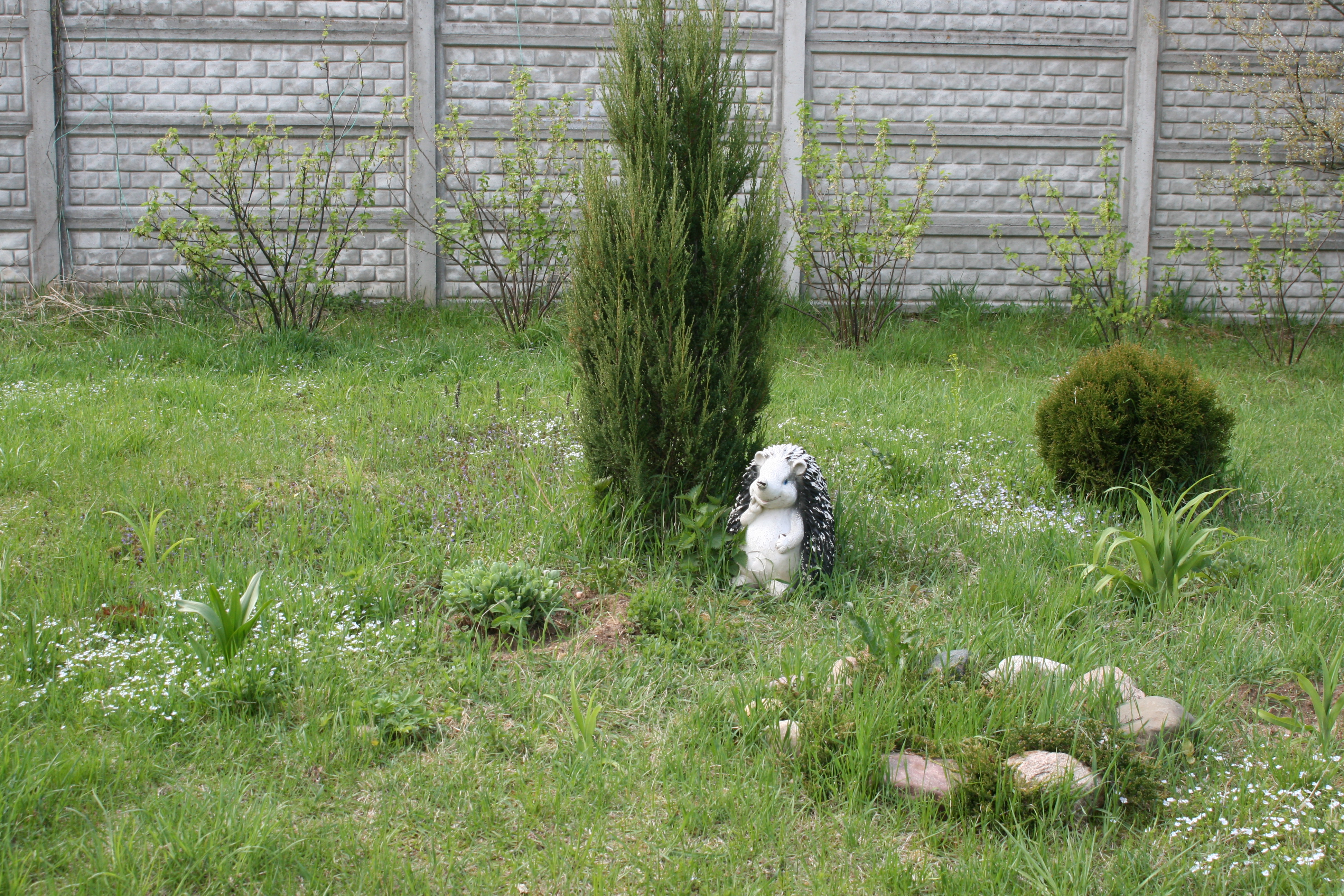 Фото Беликово