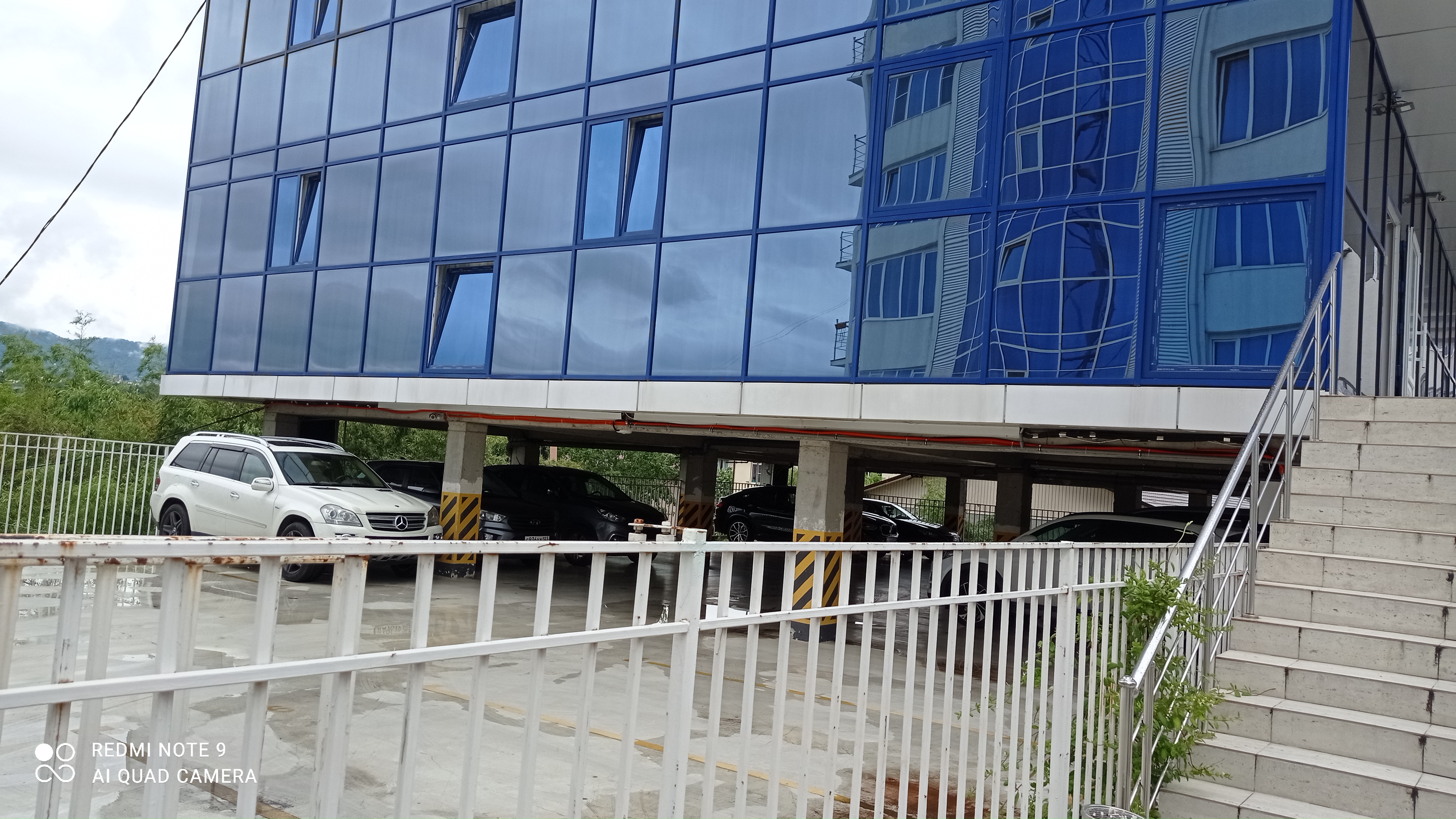 Фото Альпийская