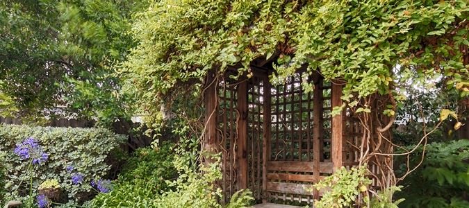 Фото Elm House Inn