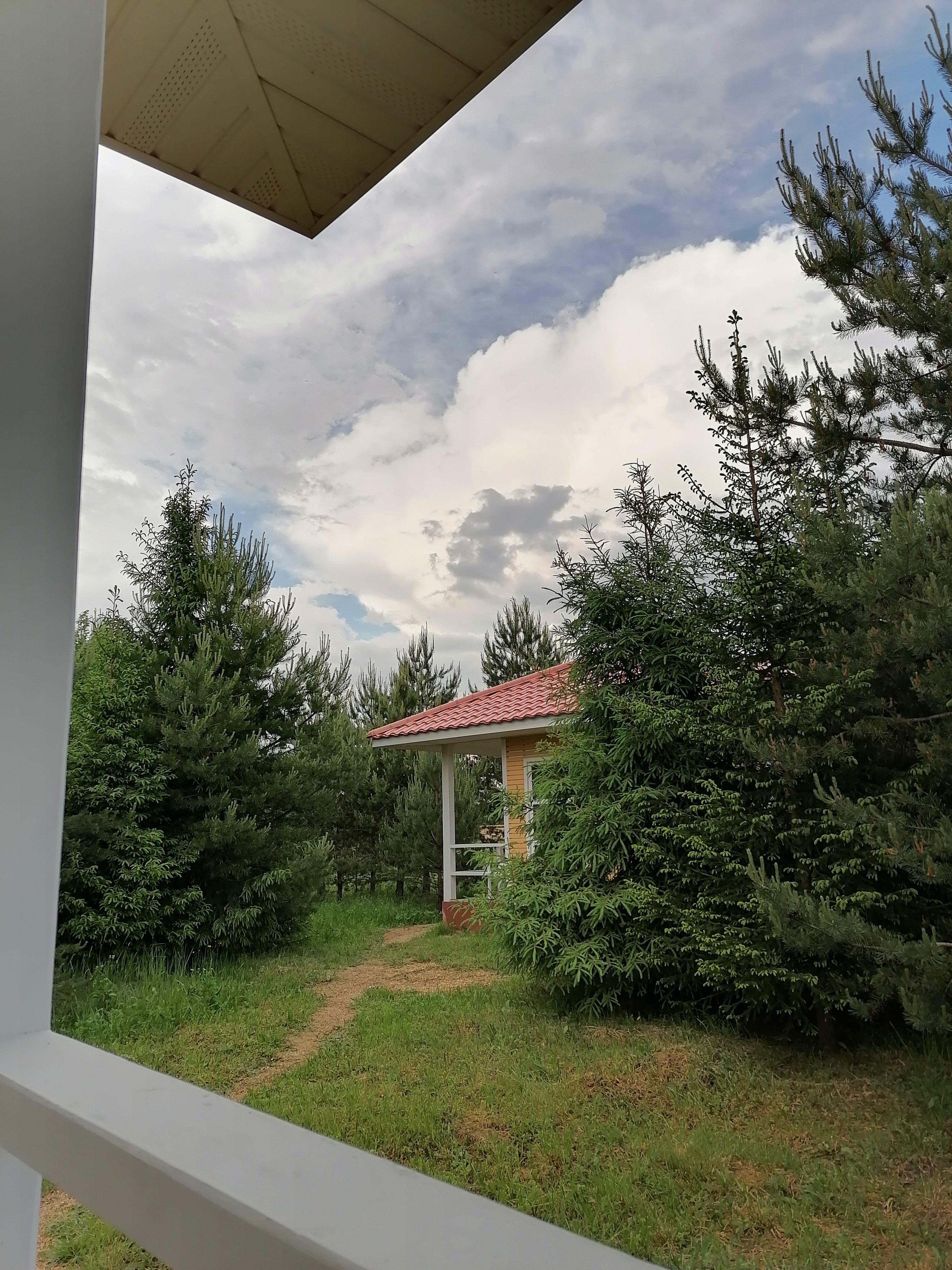 Фото Деревенька в лесу