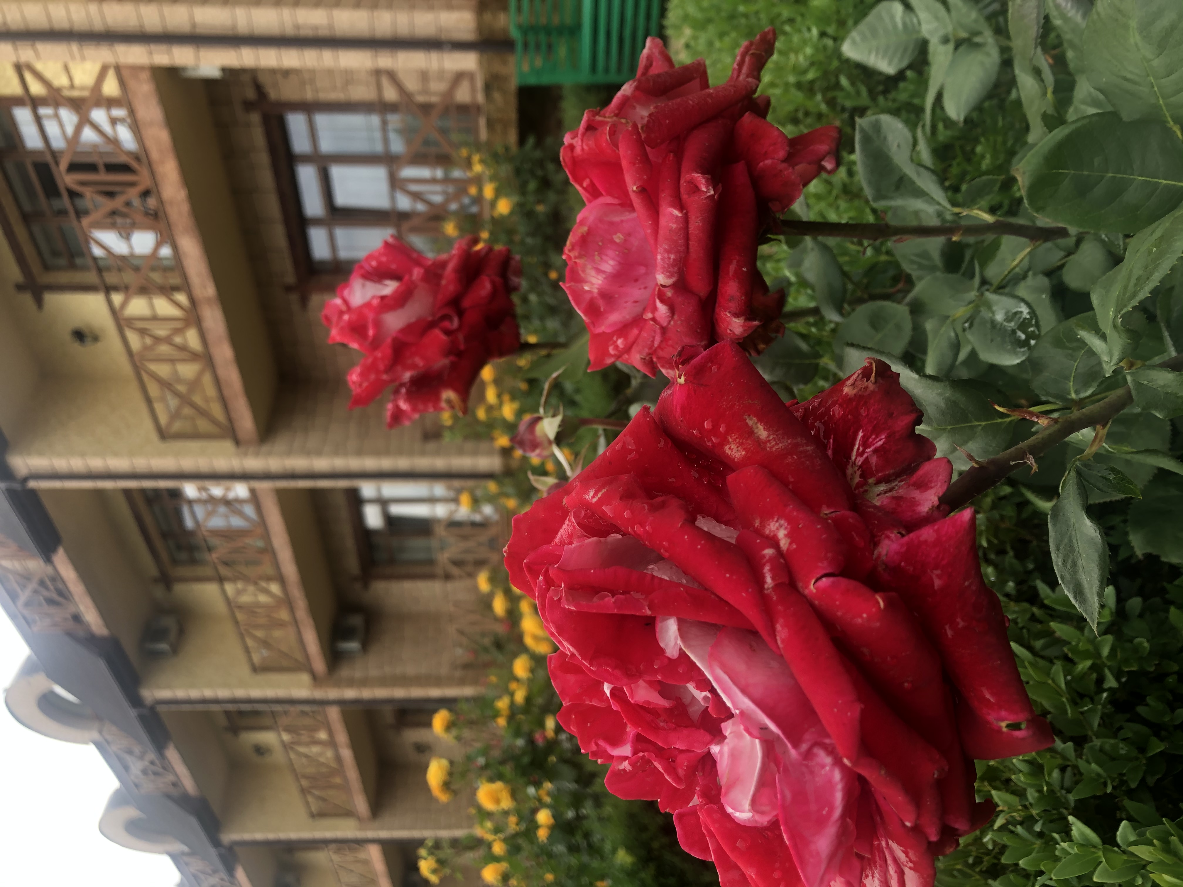 Фото Озеро сновидений