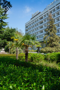 Санаторий Бирюза