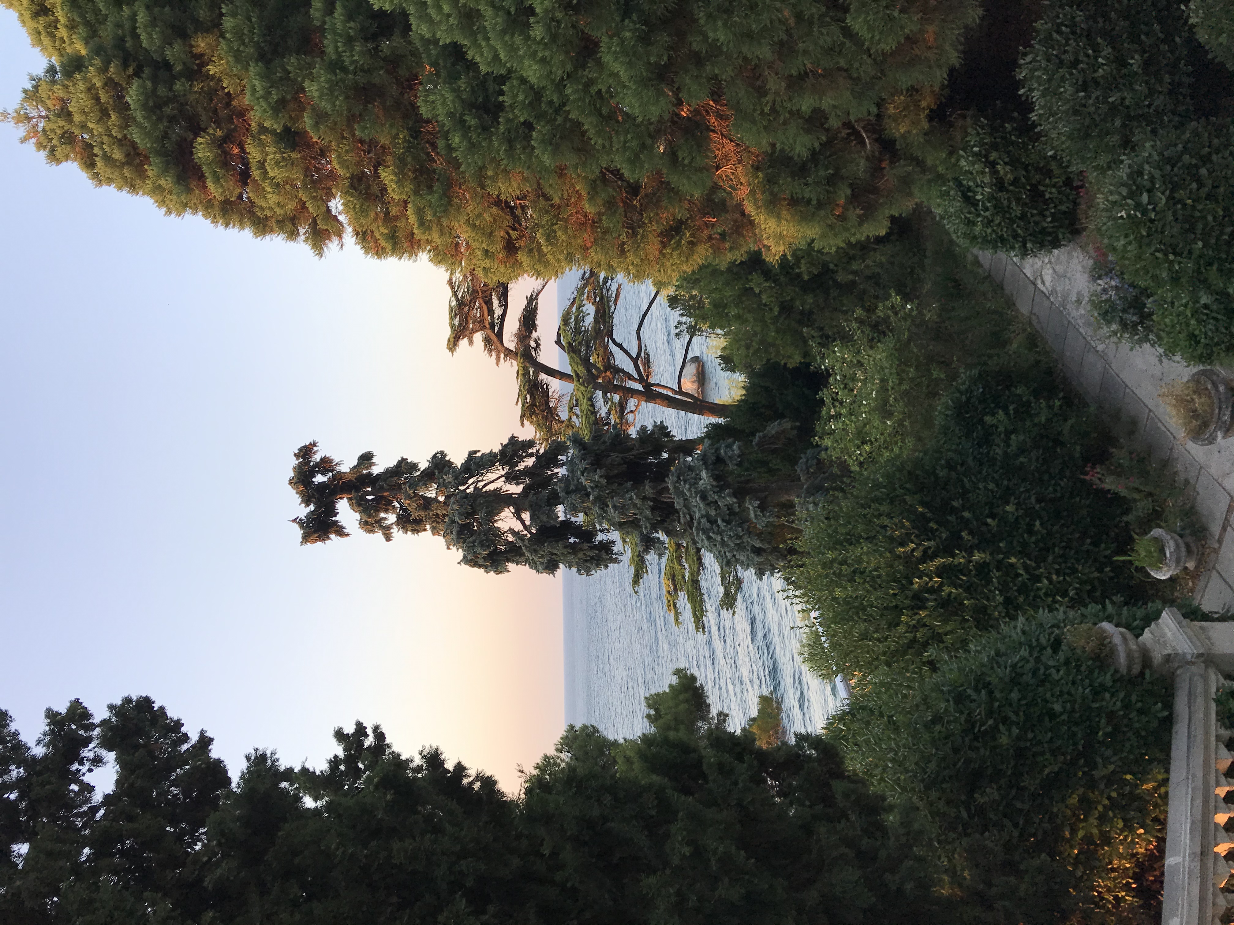 Фото Лиго Морская