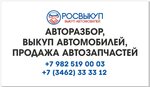 Rosvykup (Sosnovaya Street, 37), used car dealer