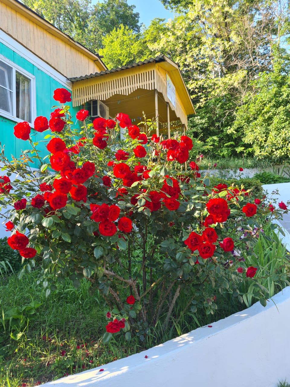 Фото Горизонт