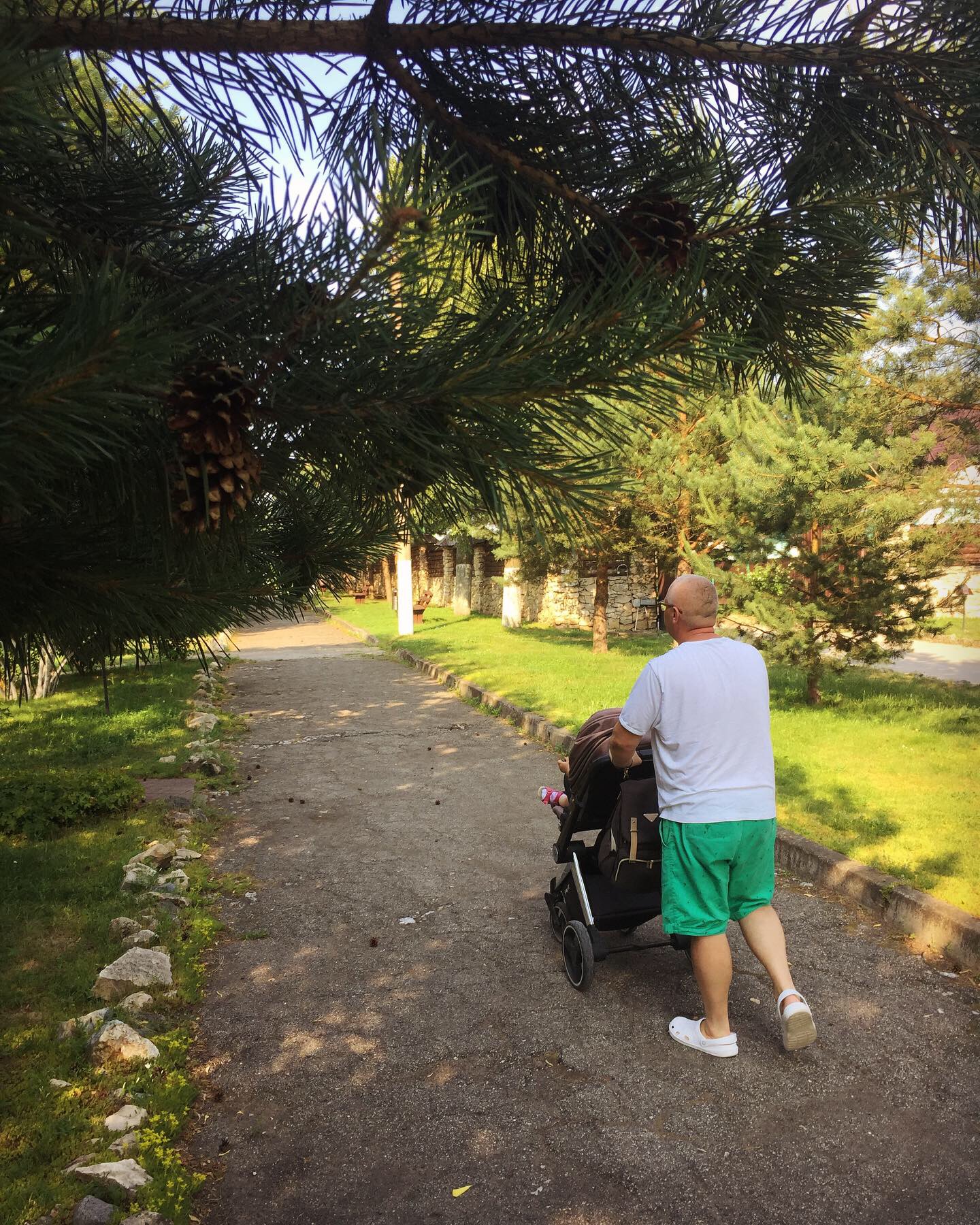 Фото Лихвинские воды