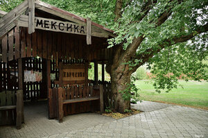 Мирта