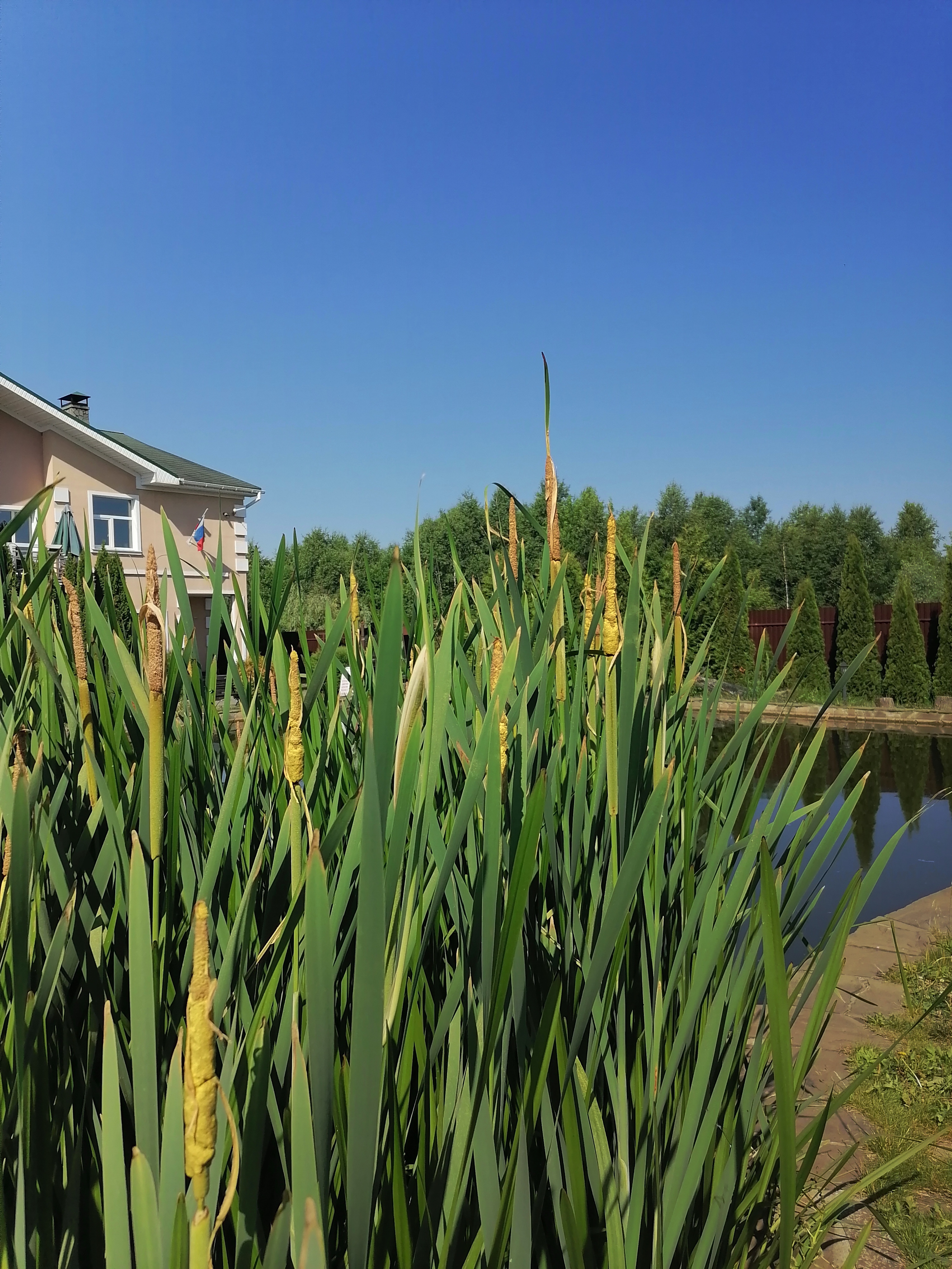 Фото Застава у Оки