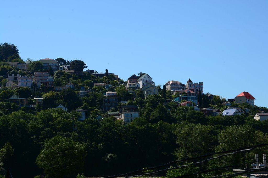 Фото Афалина+