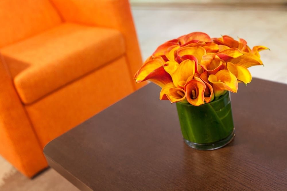 Фото Hotel Edison Times Square