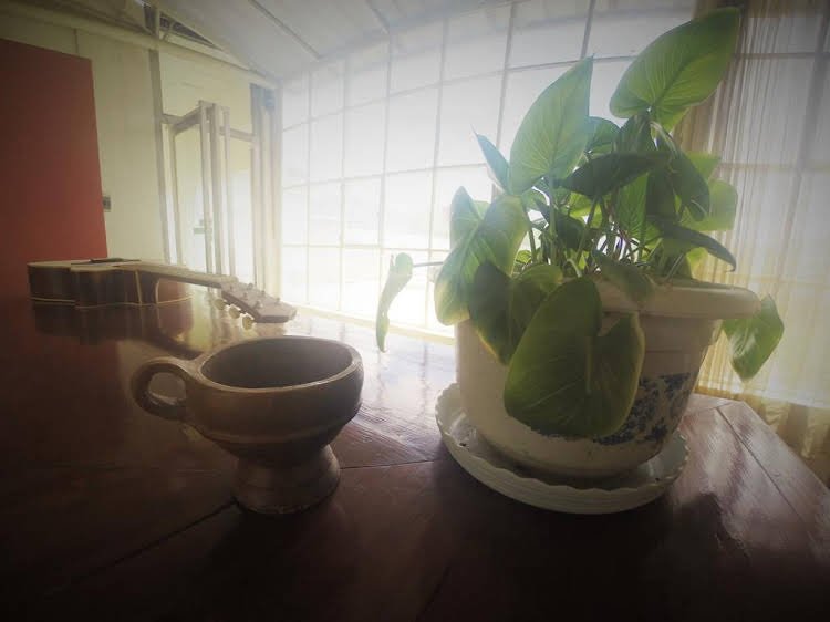 Фото Lhasa Honey Bee Hub