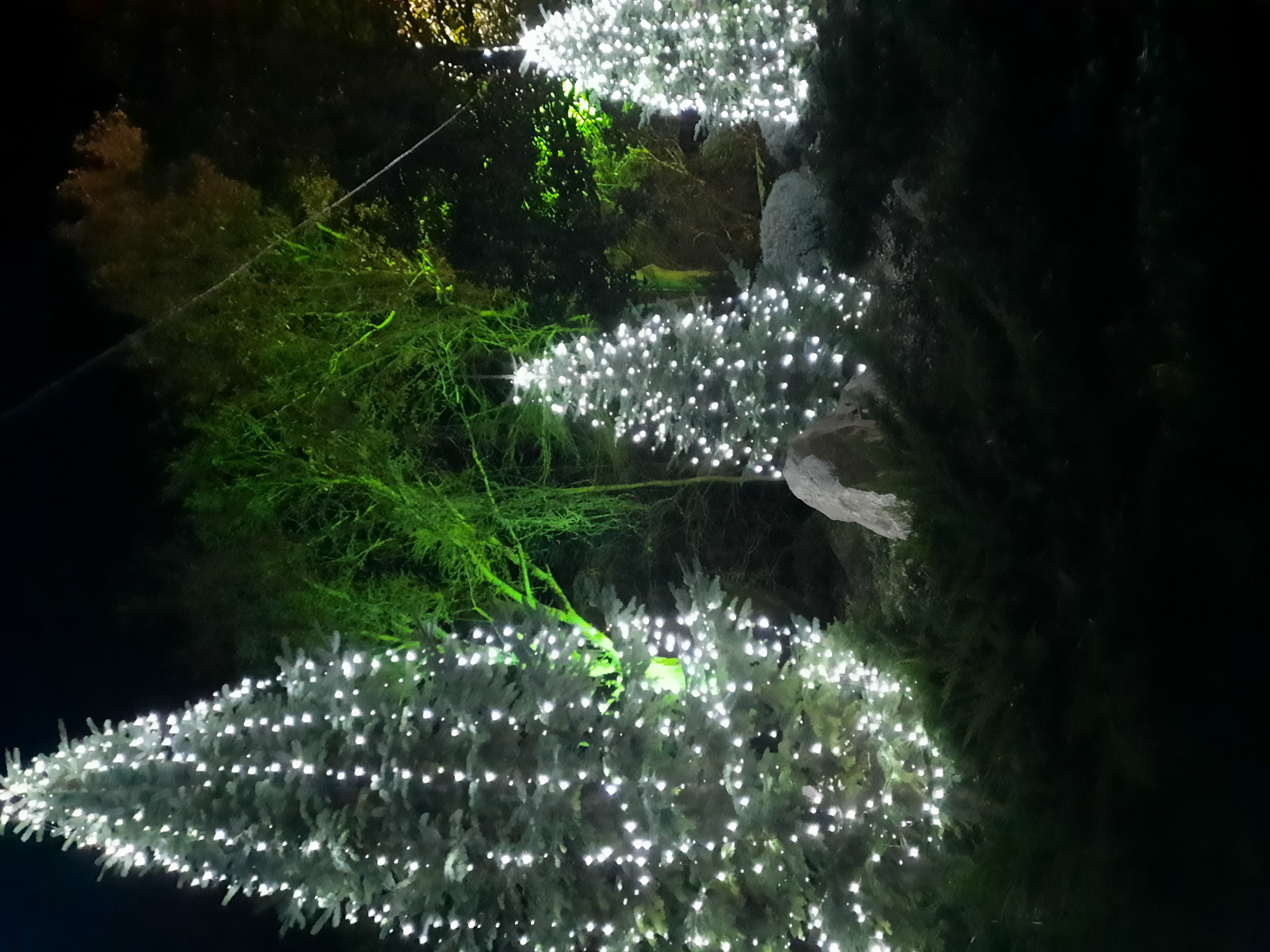 Фото Парк отель Небуг