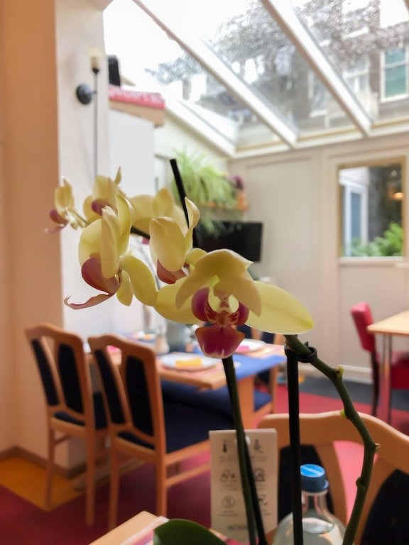 Фото Hotel Jupiter Centre