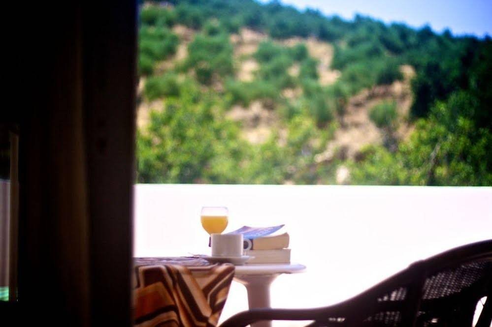 Фото Xidas Garden