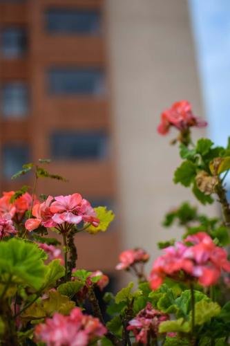 Фото Hotel Samka