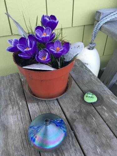 Гостиница Ocean Shores Resort в Ошен Шорс