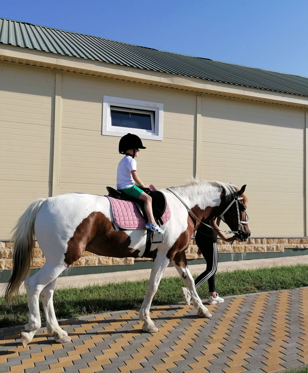 Фото Золотые пески
