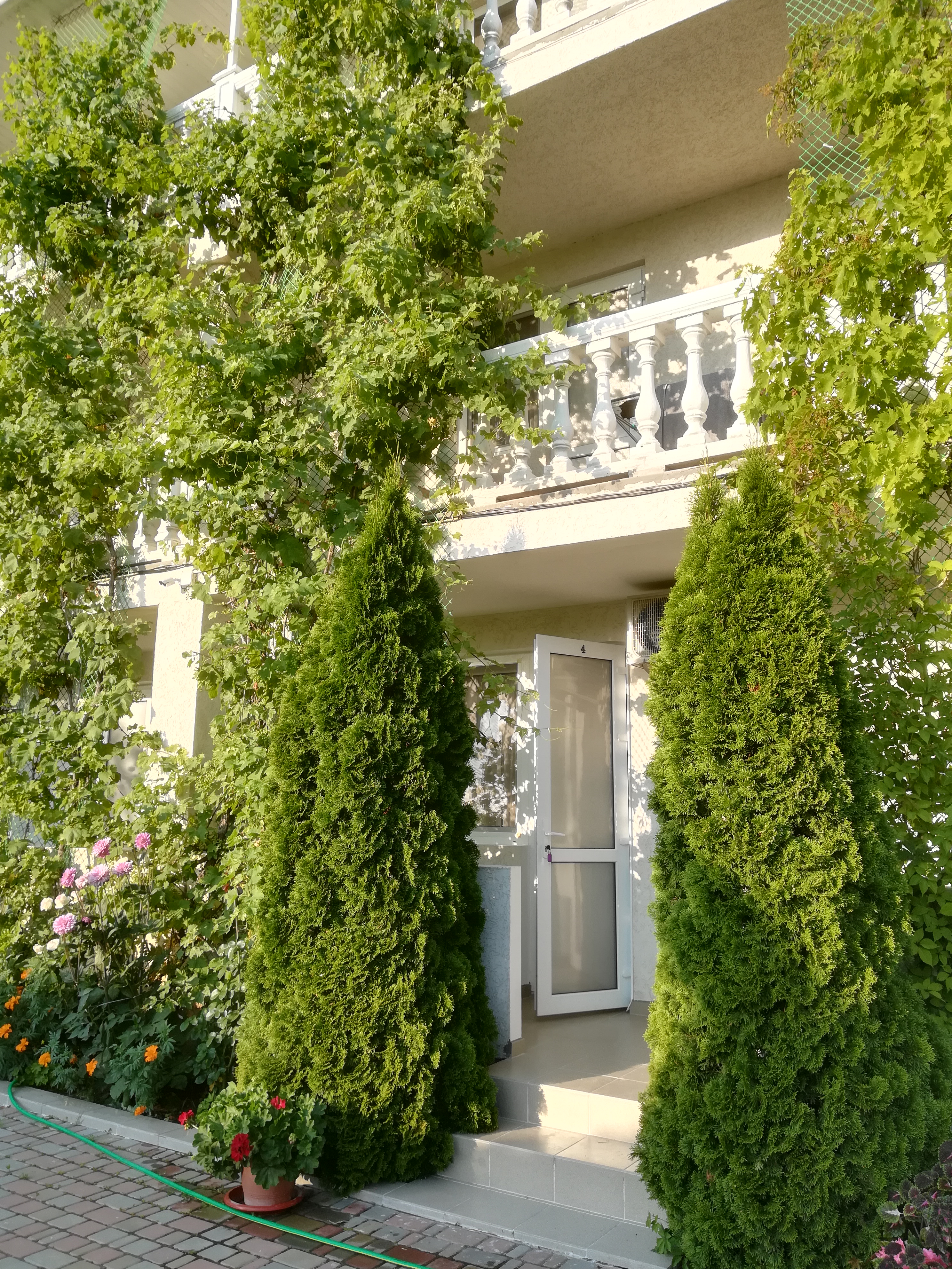 Фото Манака