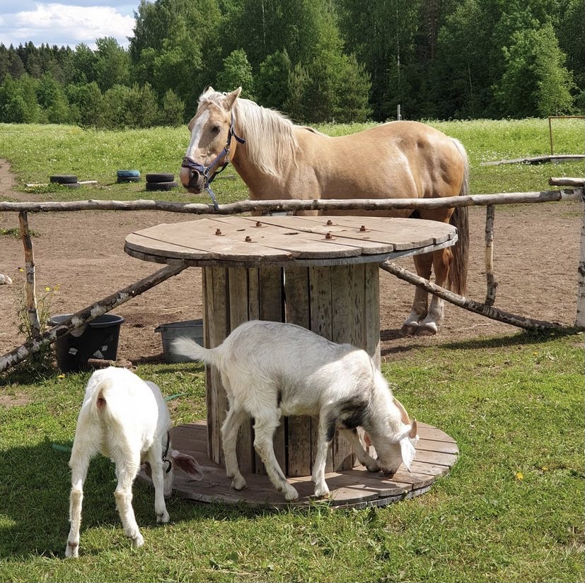 Фото Гостиница Старая Слобода