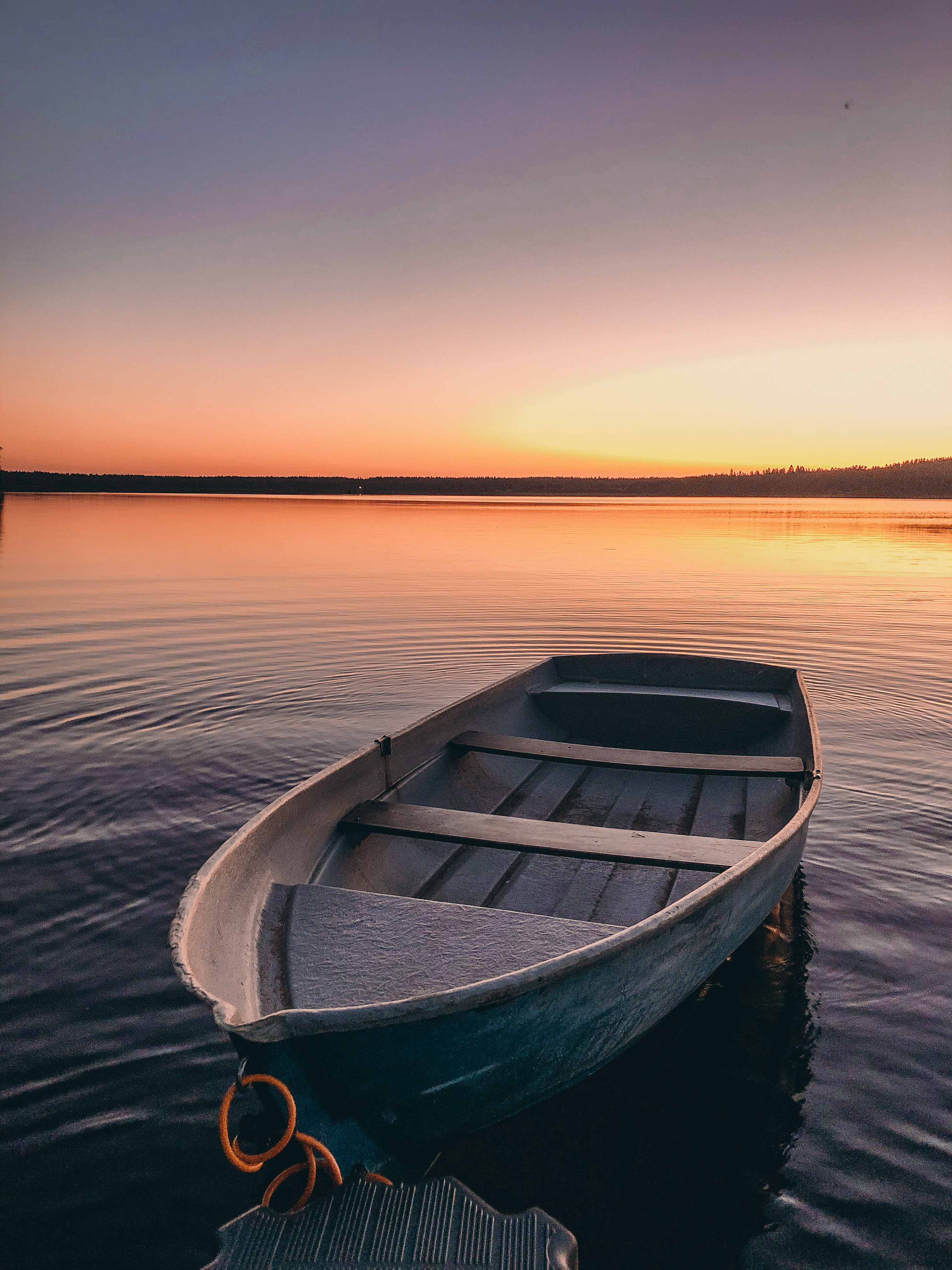 Фото Лесная Рапсодия
