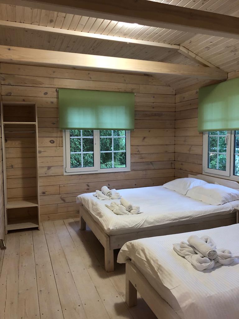 Фото Берёзка