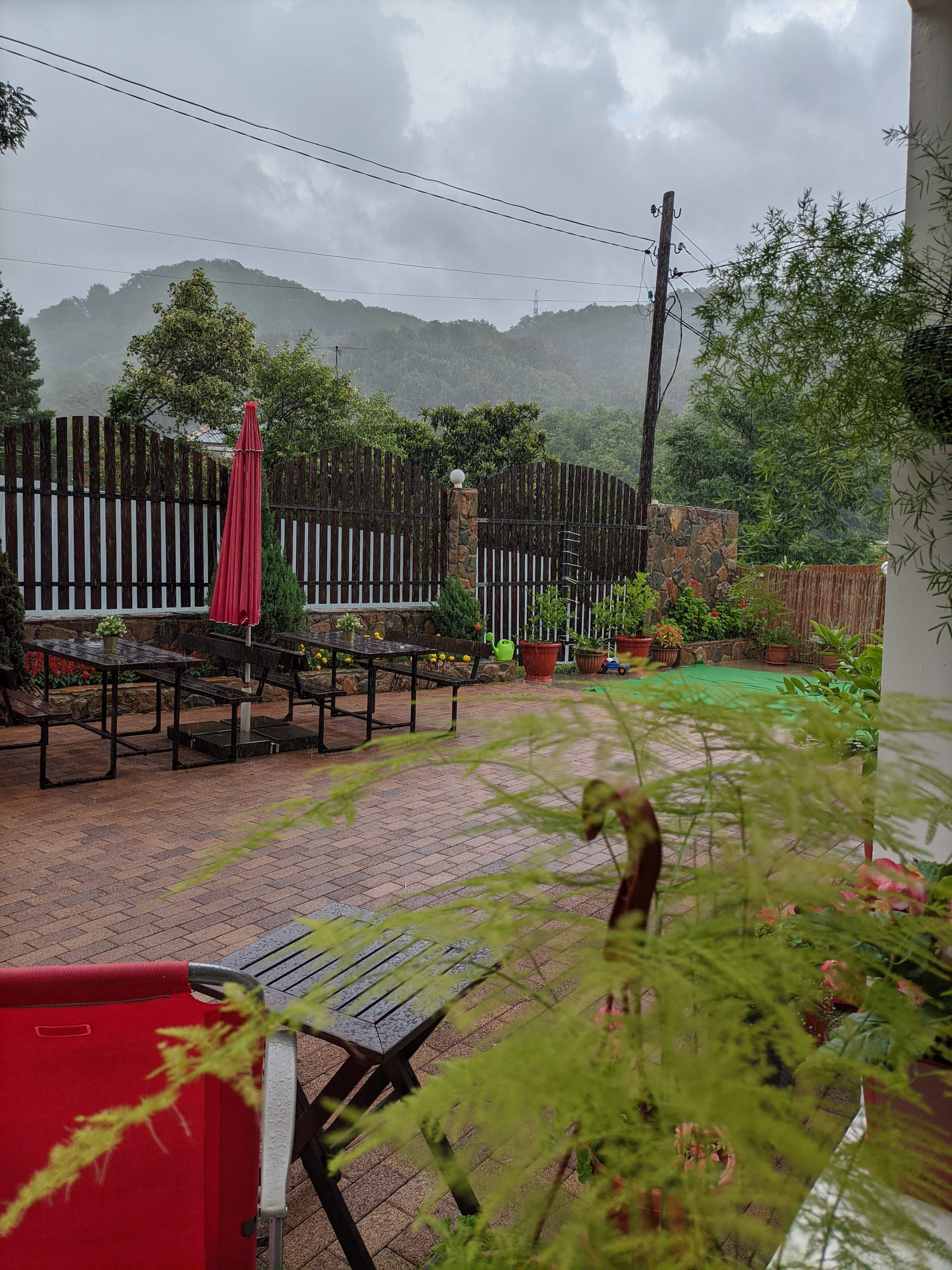 Фото Олимпик