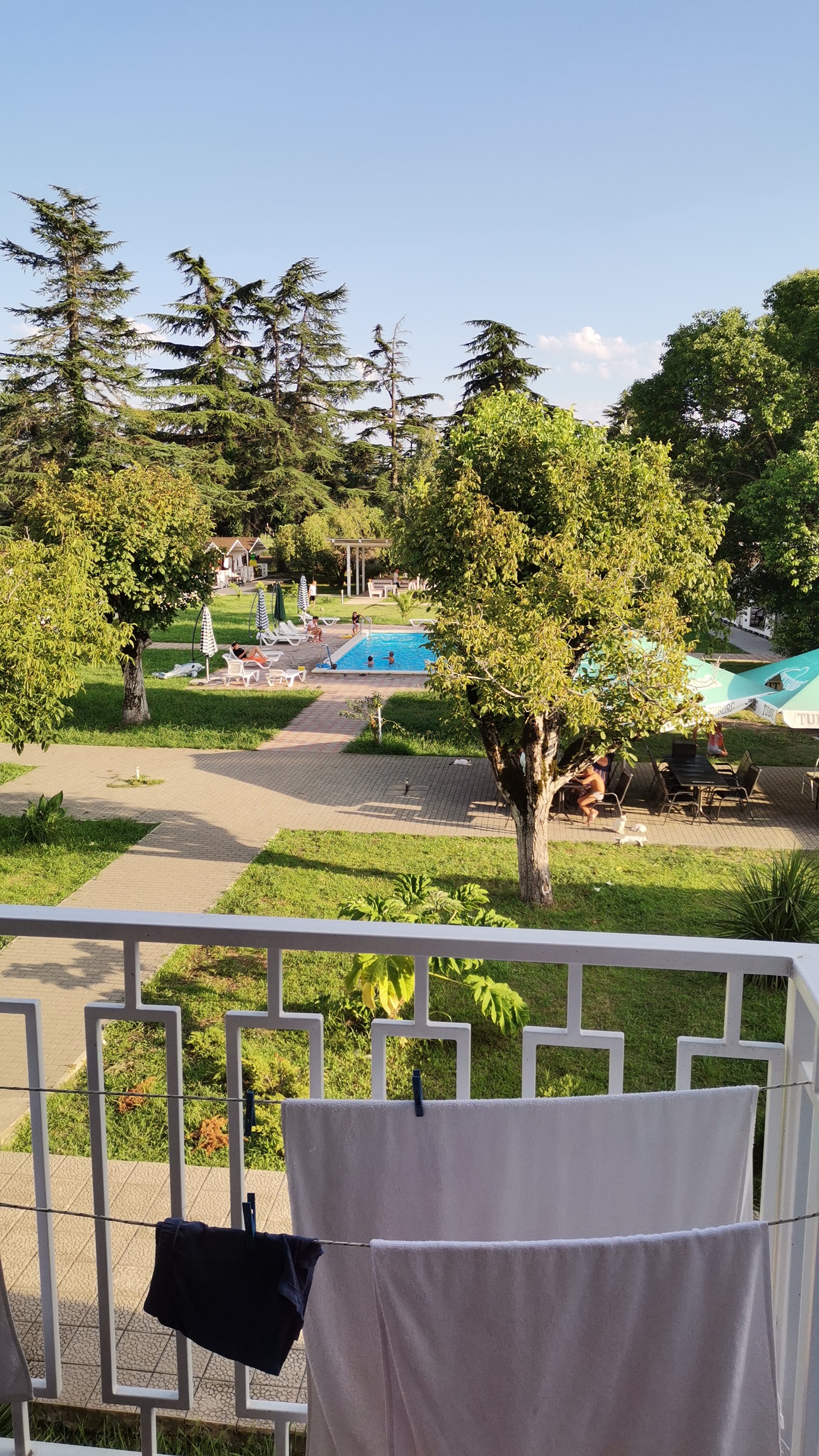 Фото Цитрус 1