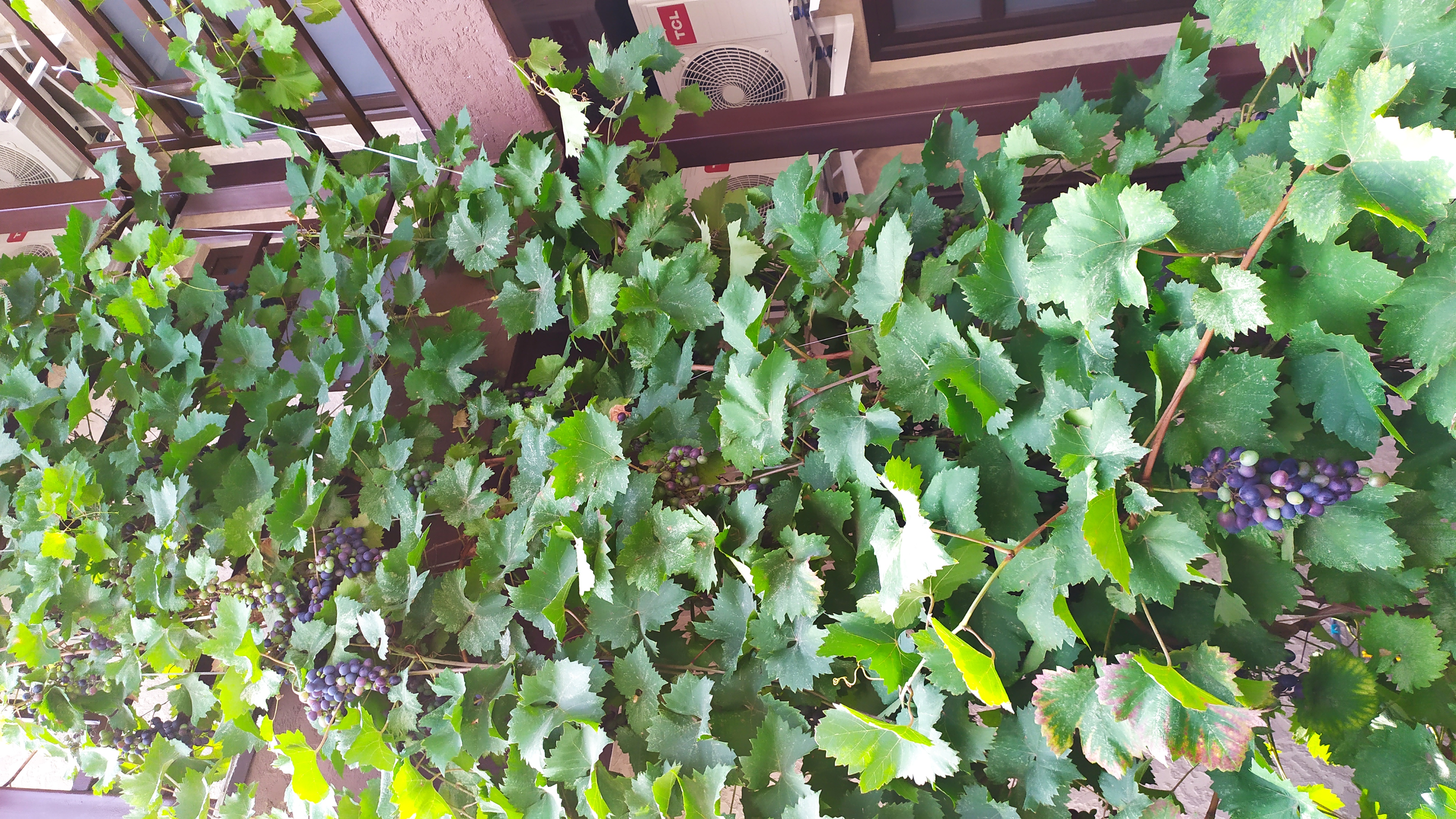 Фото Хельга у моря