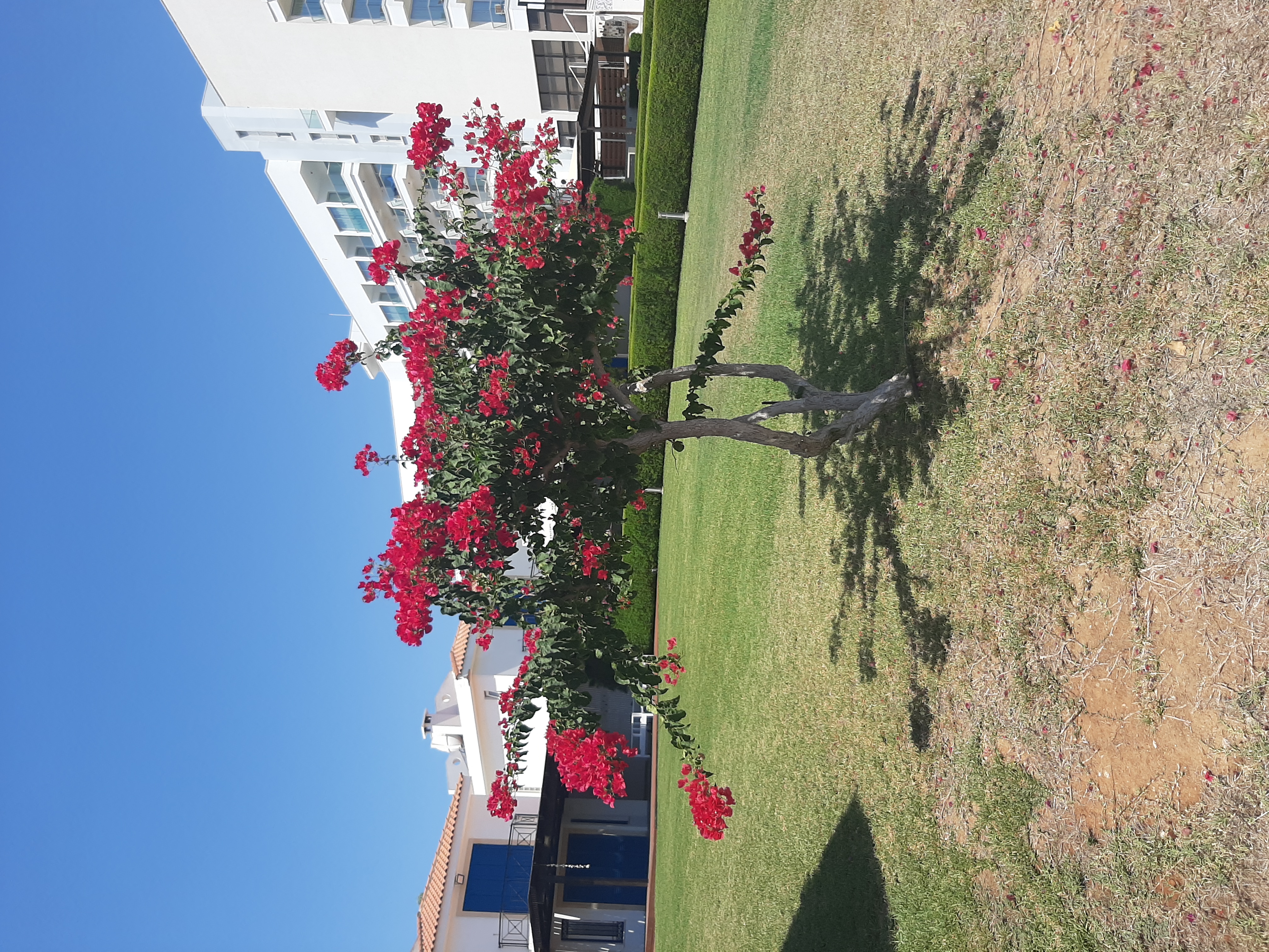 Фото Cavo Maris Beach Hotel