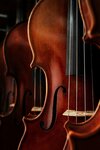Giovanni String Instruments (Lermontovskiy Avenue, 1/44), manufacture and repair of musical instruments