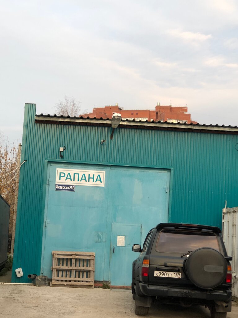 Рыба и морепродукты Рапана, Пермь, фото