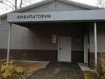 Ambulatoriya pos. Zelyony (posyolok Zelyony, 56А), ambulatory care centre, first aid post