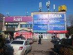 Dana (Abdullah Rozybakiev Street, 77), shopping mall