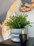 S-Parfum (Nekrasova Street, 31А), tienda de perfumes y cosmética