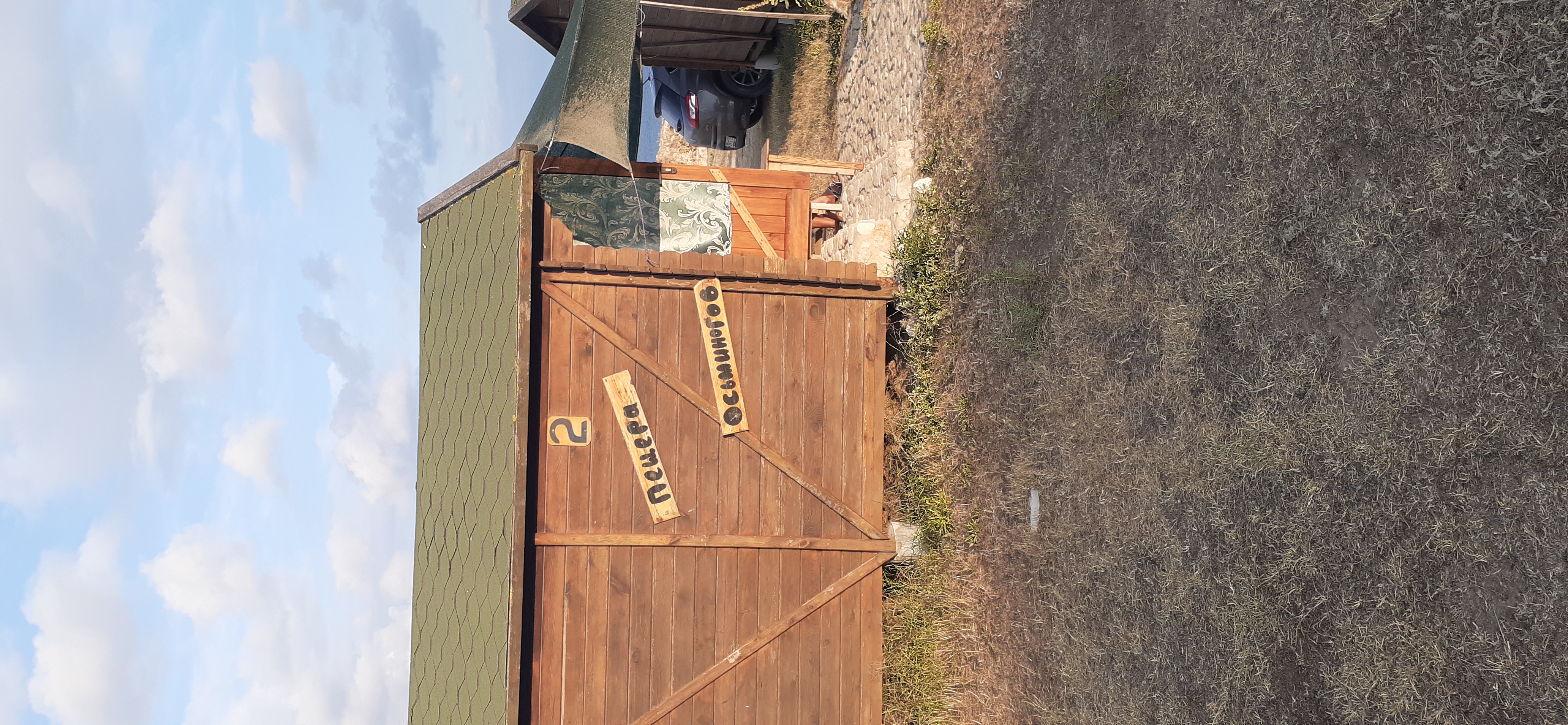 Фото Афалина