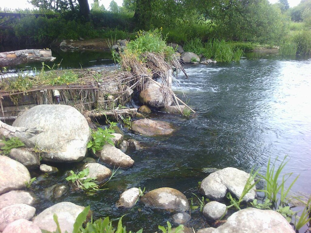 Отдых на ферме Усадьба у Марьяна, Гродненская область, фото