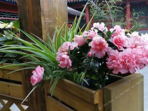 Внешний вид отеля Beijing Jingyuan Courtyard Hotel в Районе Дунчэне, фото 4