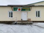 Optovaya firma (Chkalova Street, 38с8), vegetables and fruit wholesale